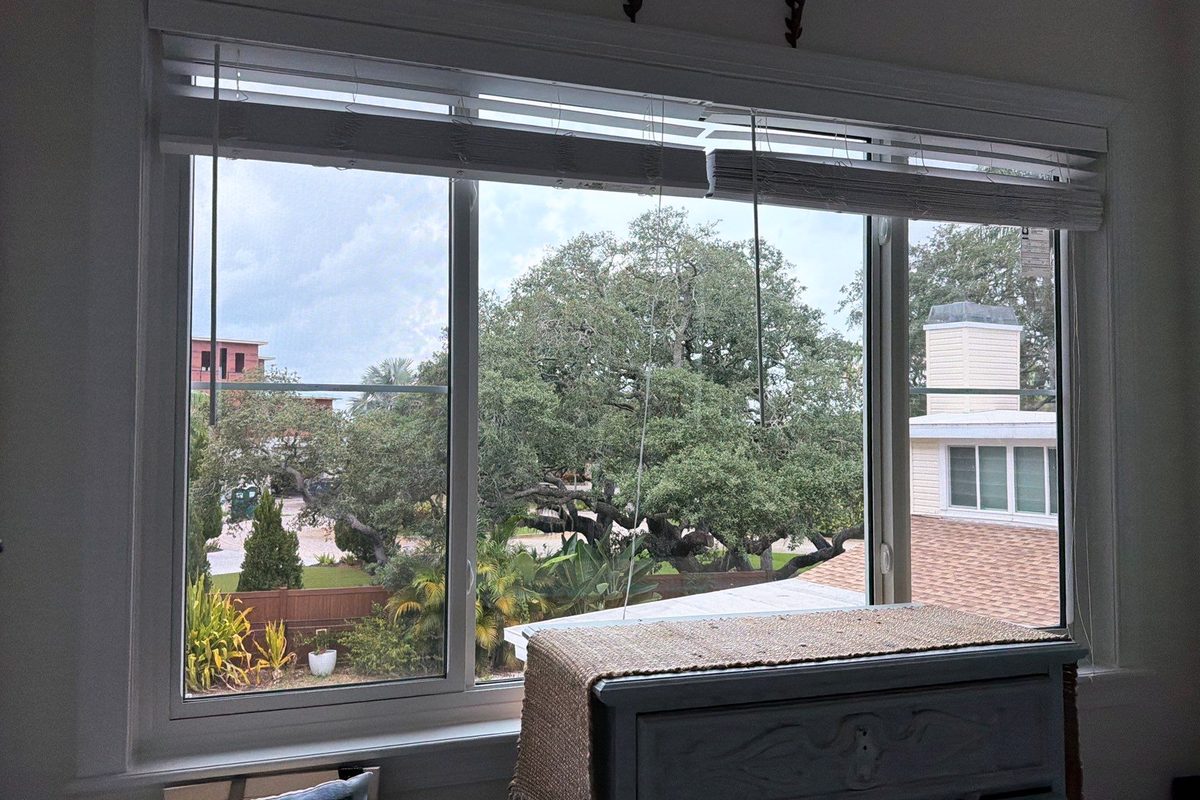 A wide impact window in a bedroom, blinds fitted above it, a live oak and neighbouring roofs outside.